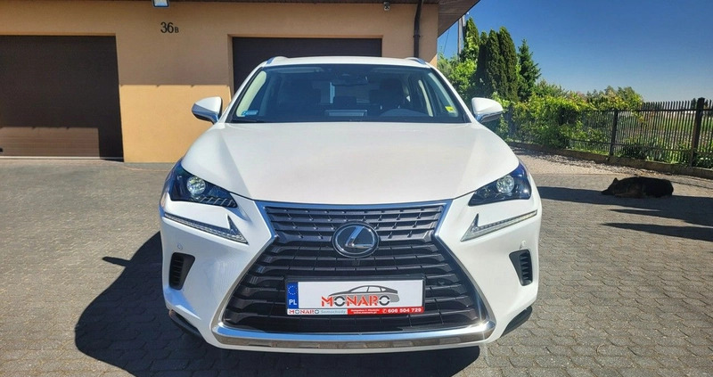 Lexus NX cena 138900 przebieg: 49474, rok produkcji 2019 z Kraśnik małe 781